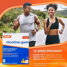 Rugby 00536338601 Nicotine Gum 2mg Sugar Free Coated Fruit (3 Boxes of 100)-Preferred Medical Plus