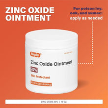 Rugby Skin Protectant Zinc Oxide 20% Ointment (Pack of 12)-Preferred Medical Plus