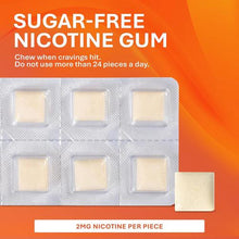 Rugby 536136234 Nicotine Gum 2 MG Mint 20 pieces (Pack of 48)-Preferred Medical Plus