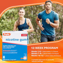 Rugby 00536340401 Nicotine Gum 2mg 100ct. Cinnamon Sugar Free (Pack of 2)-Preferred Medical Plus