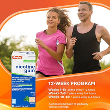 Rugby 536136206 Nicotine Gum 2mg Sugar Free Mint Flavor 50 pieces (Pack of 2)-Preferred Medical Plus