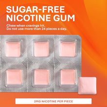 Rugby 00536340401 Nicotine Gum 2mg 100ct. Cinnamon Sugar Free (Each)-Preferred Medical Plus