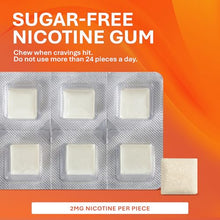 Rugby 536136223 Nicotine Polacrilex Gum 2 mg Mint Flavor 110 Pieces (Pack of 2)-Preferred Medical Plus